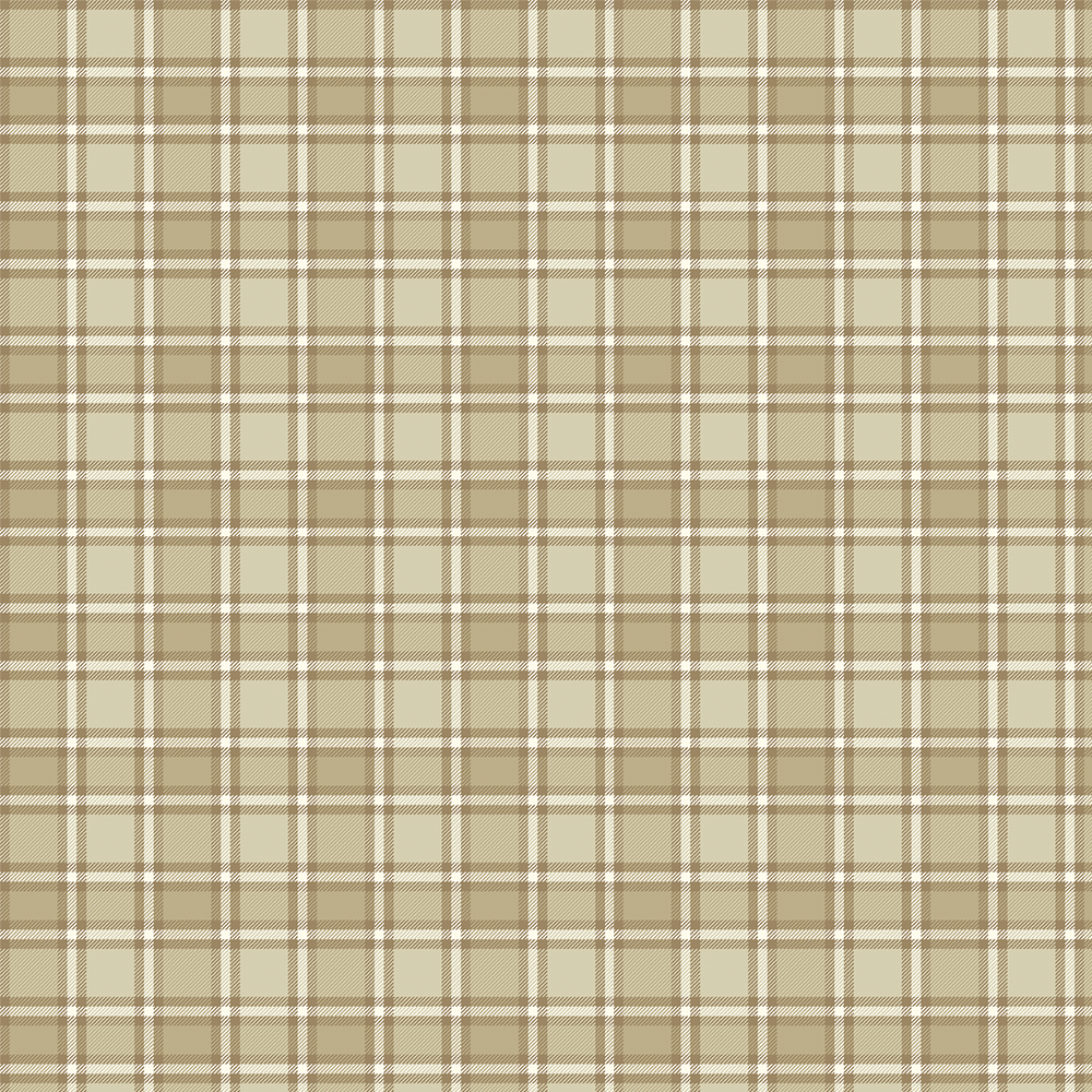 15101 XARDEZ TARTAN EDIMBURGO CREMA - Imagen 2