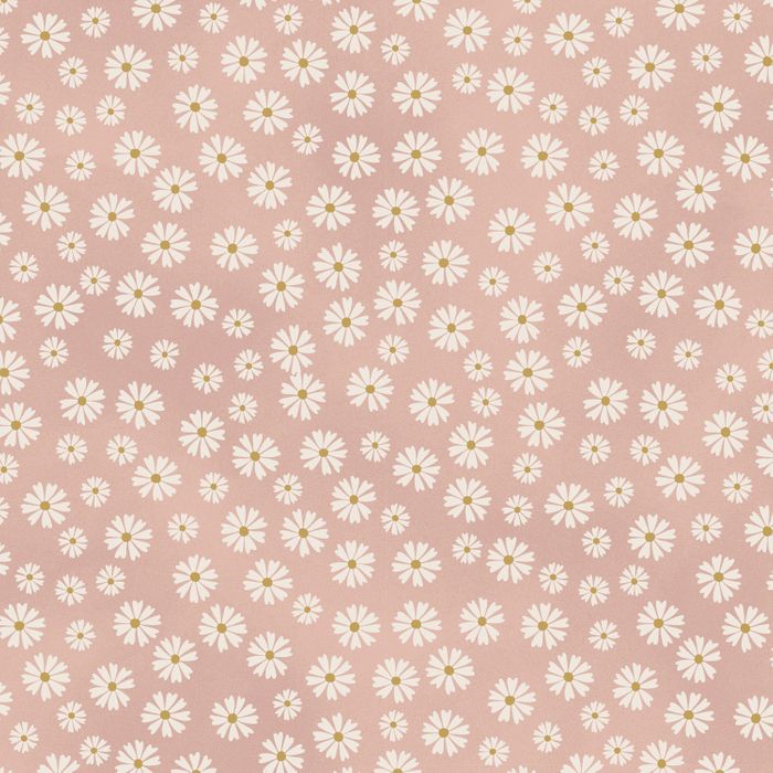 DV3958 BLUME & GROW MARGARITAS FONDO ROSA - Imagen 2