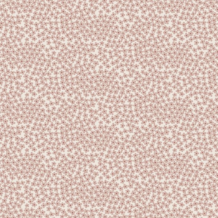 DV3972 BLUME & GROW MARGARITAS ROSAS SOBRE BLANCO - Imagen 2