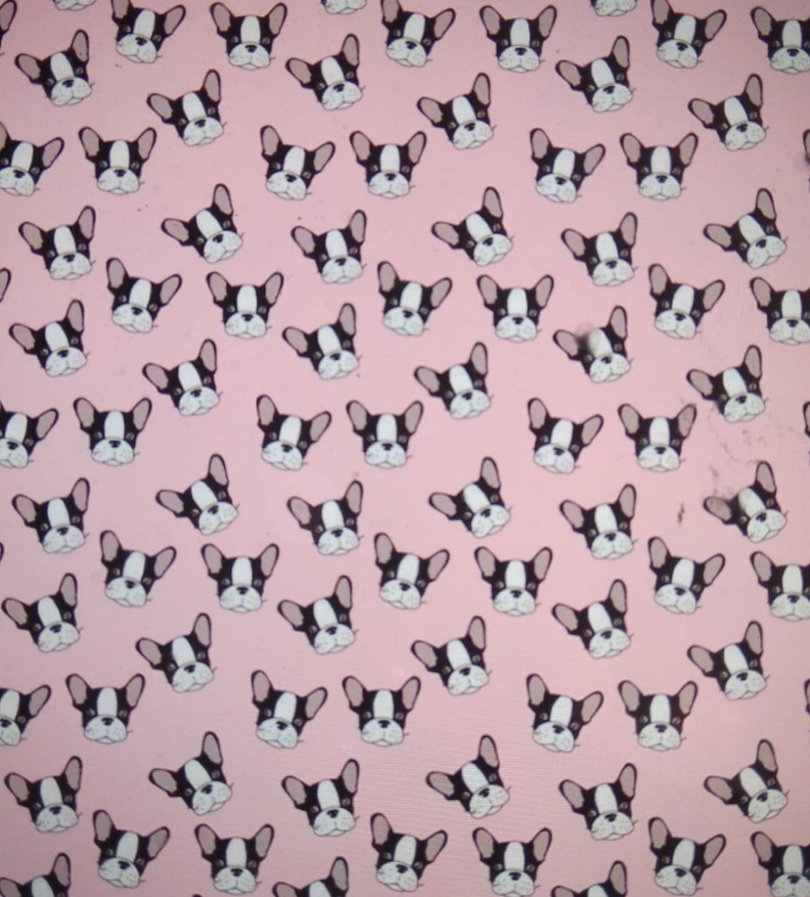 BULDOGS FONDO ROSA ESTAMPADO PEQUEÑO - Imagen 2