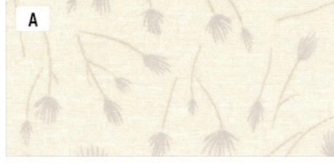 10331S-A CENTENARY COLLECTION 26 RAMITAS CREMA - Imagen 4