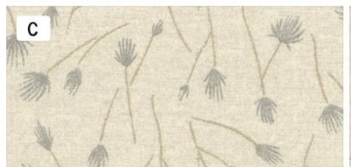 10331S-C CENTENARY COLLECTION 26 RAMITAS BEIGE - Imagen 4