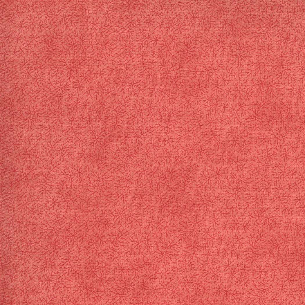 44255-14 SANCTUARY TONAL CORAL - Imagen 2