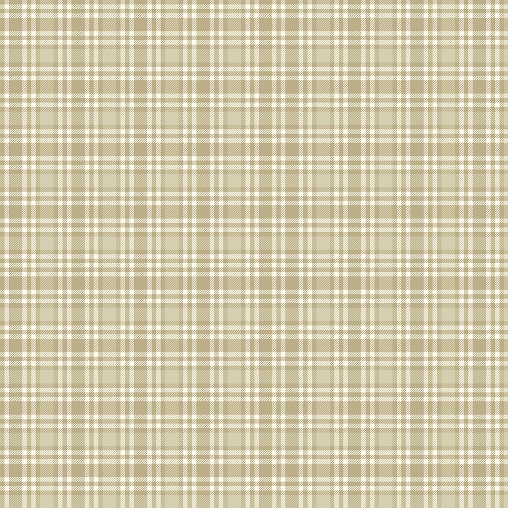 15104 XARDEZ TARTAN DUNDEE CREMA - Imagen 2
