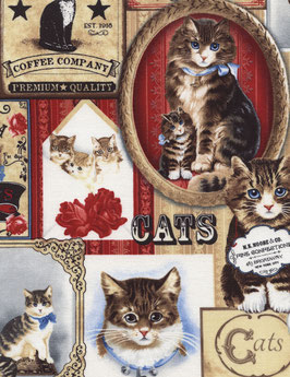 C4498 GATOS ETIQUETAS