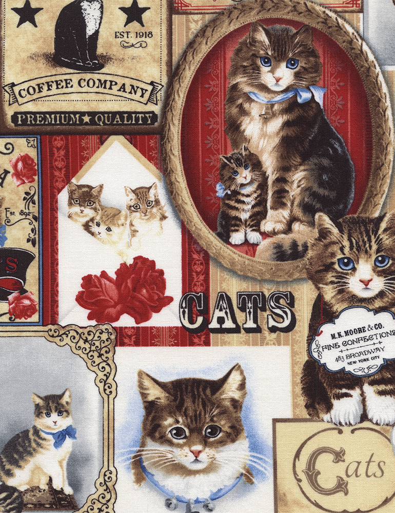 C4498 GATOS ETIQUETAS - Imagen 2