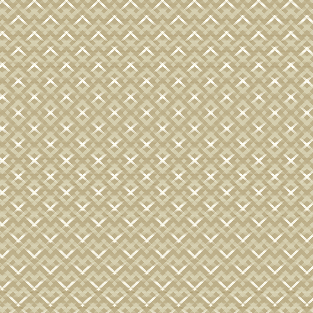 15105 XARDEZ TARTAN INVERNESS CREMA - Imagen 2