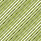 6804-40 HOME GROWN RAYAS VERDE