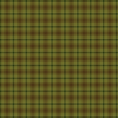 2186 F66 FOLK ART CUADROS VERDE - Imagen 2